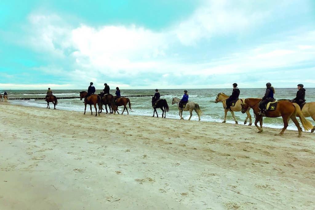 Ostsee-Ferienwohnung Uhlnuest Graal-Mueritz Gelbensande Zewnętrze zdjęcie