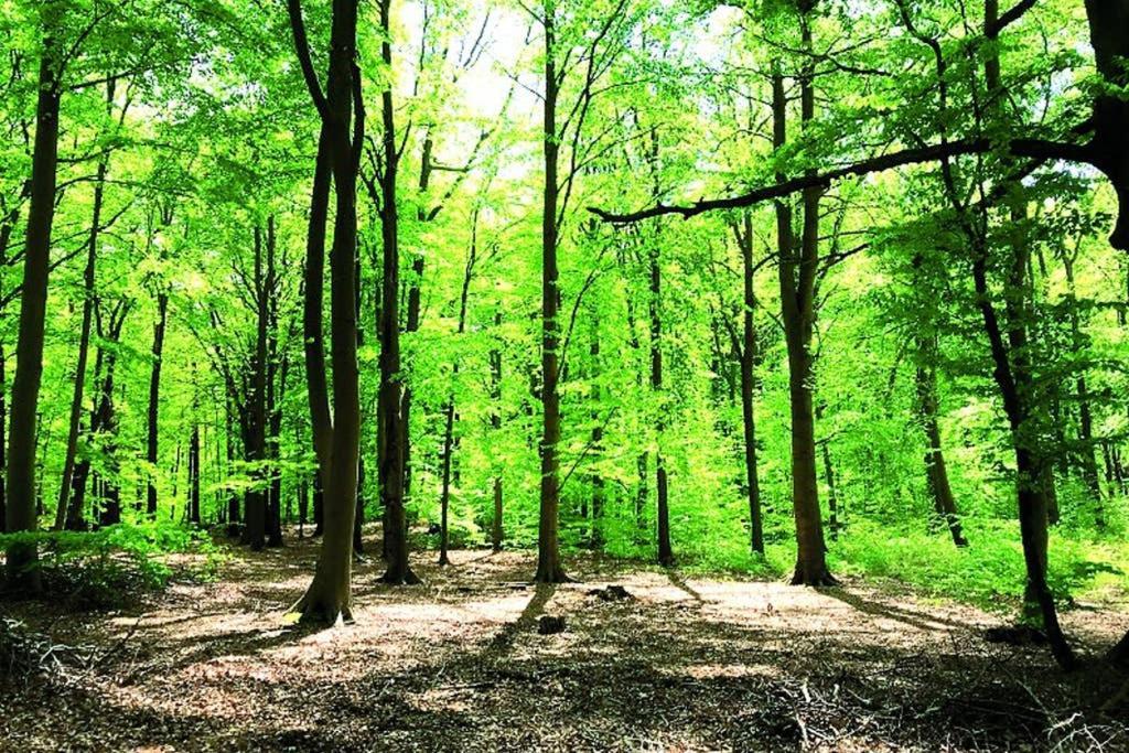 Ostsee-Ferienwohnung Uhlnuest Graal-Mueritz Gelbensande Zewnętrze zdjęcie