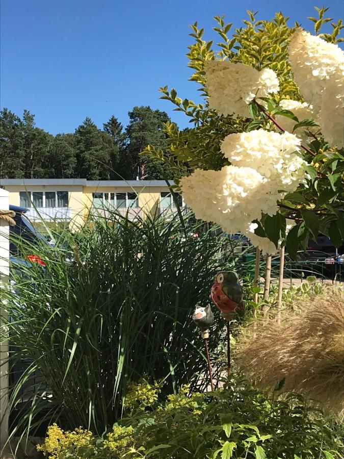Ostsee-Ferienwohnung Uhlnuest Graal-Mueritz Gelbensande Zewnętrze zdjęcie